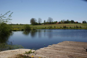 Domki nad stawem
